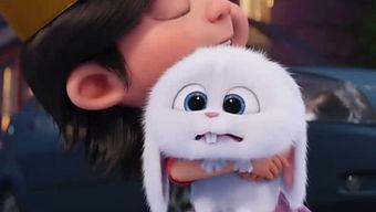 晴子兔视频,趣味横生的动画世界之旅