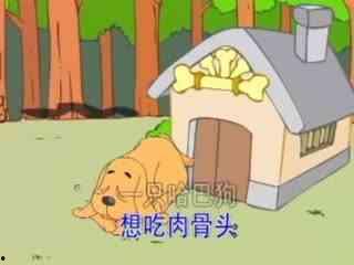 一只哈巴狗儿歌视频,萌宠欢歌,萌态可掬