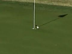 小球滑视频,探索物理现象与运动规律