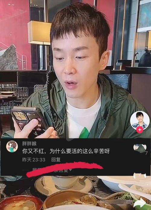 沈凌视频,揭秘生活智慧，品味人生百态