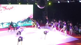 蓝舞视频,探寻舞蹈艺术的魅力与灵魂