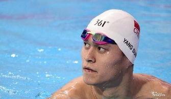 孙杨自由泳教学视频,揭秘世界冠军的游泳技巧与训练方法