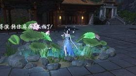 青龙狗视频,萌宠奇遇记，揭秘神秘森林传奇