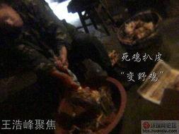 人与禽欲视频,揭秘人类与禽类欲望交织的隐秘世界