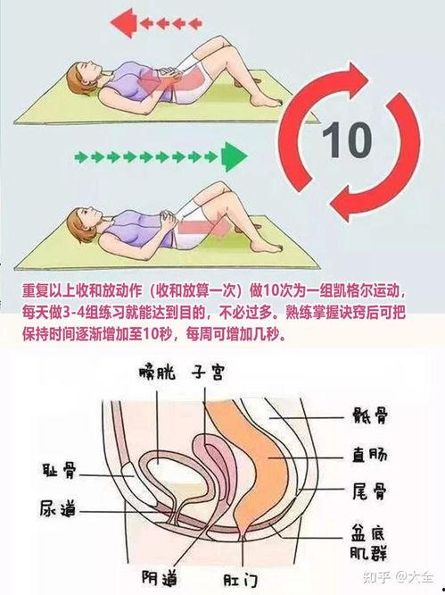 盆底肌修复视频完整版,全面解析康复训练全过程